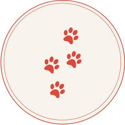 Standard Process for Pets Collection Icon Image